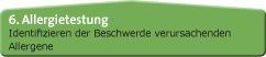 Allergietestung